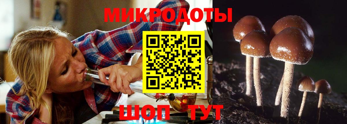 Кострома  Галлюциногенные грибы Psilocybe  Вход с VPN 