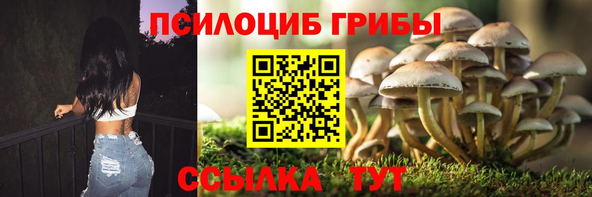 Псилоцибиновые грибы ЛСД Кострома